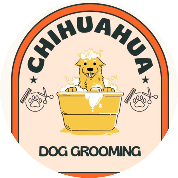Chihuahua Dog Grooming